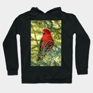 King Parrot: Beautiful Birds Of Australia Hoodie